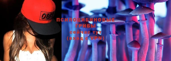 амф Арсеньев