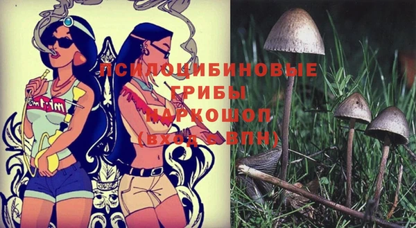 дмт Аркадак
